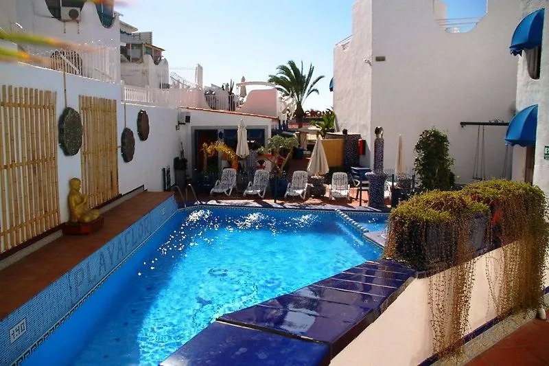 Playaflor Chill Out Resort A 50 Mtrs De La Playa (Adults Only) Playa de las Americas  Apartment Playa de las Americas (Tenerife)