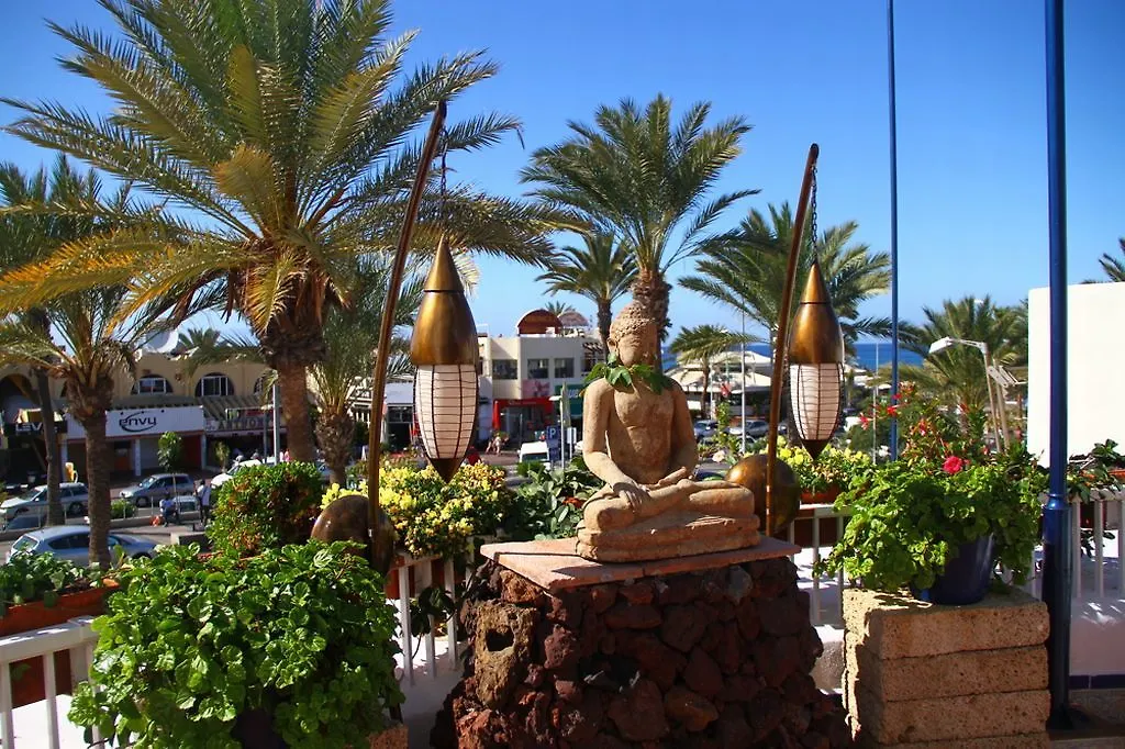 Playaflor Chill Out Resort A 50 Mtrs De La Playa (Adults Only) Playa de las Americas  Playa de las Americas (Tenerife)