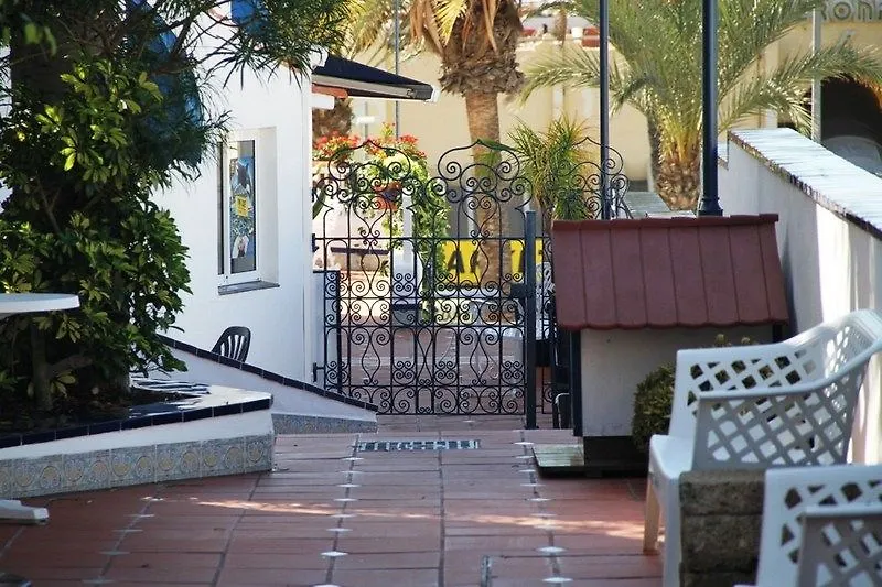 Playaflor Chill Out Resort A 50 Mtrs De La Playa (Adults Only) Playa de las Americas  Apartment