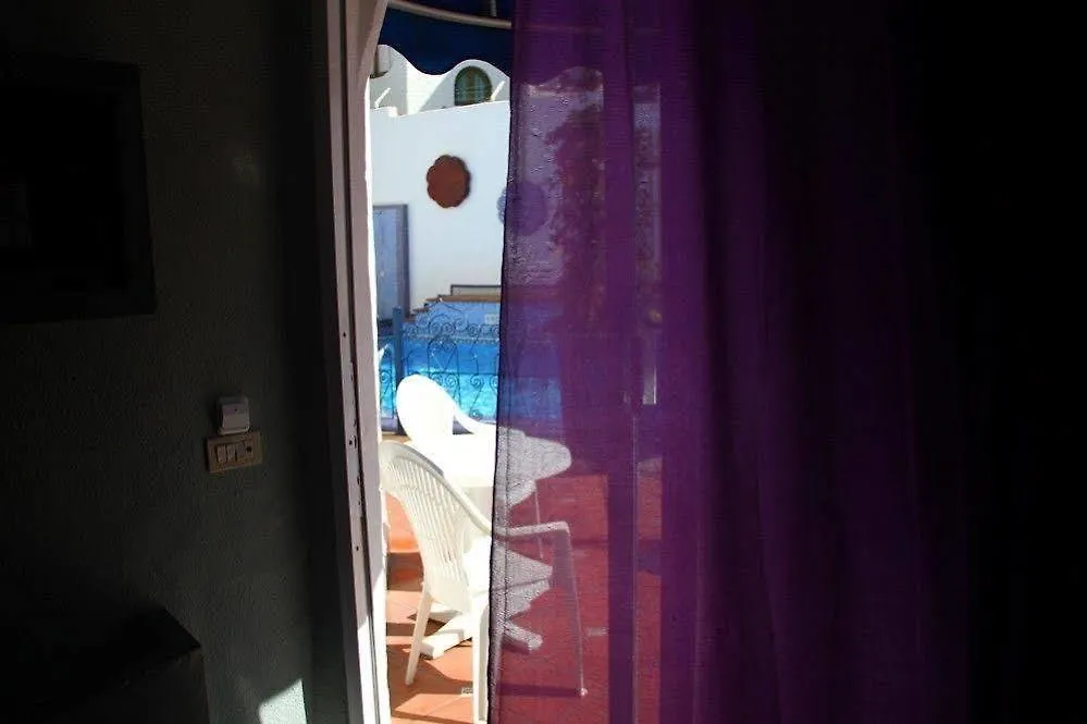Playaflor Chill Out Resort A 50 Mtrs De La Playa (Adults Only) Playa de las Americas  Spain