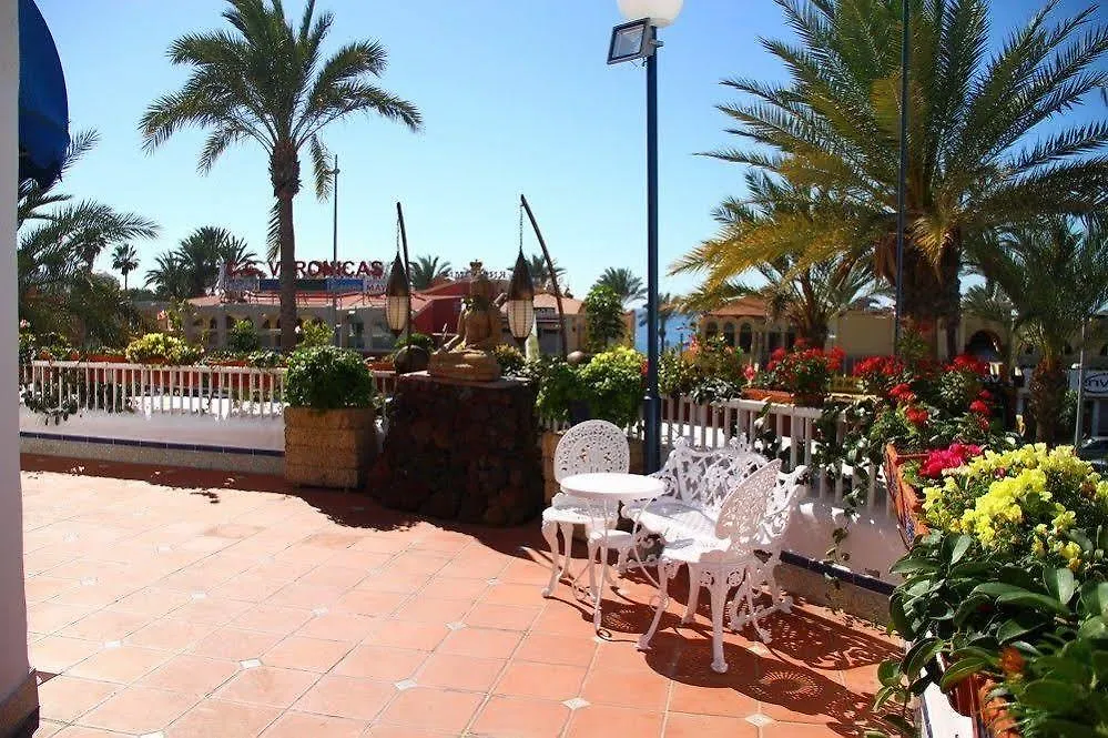 Playaflor Chill Out Resort A 50 Mtrs De La Playa (Adults Only) Playa de las Americas  Apartment